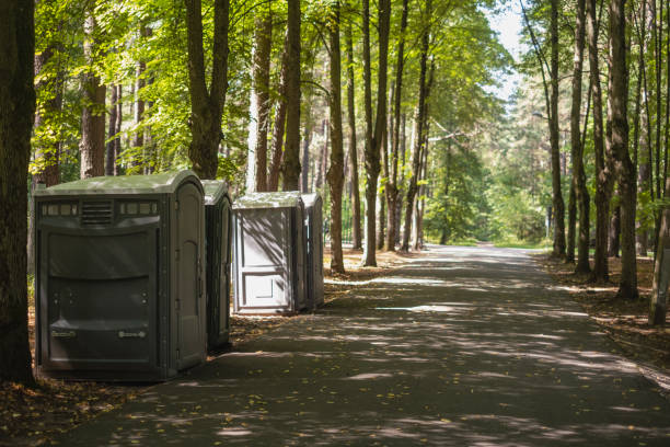 Portable Toilet Options We Offer in Safety Harbor, FL